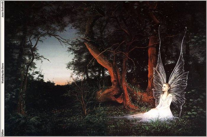 QMan AS EW 1553 Watching the Dawn. Sudworth, 