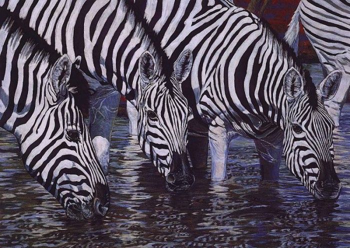 lrs Bellinger Jenn Burchells Zebras. , 