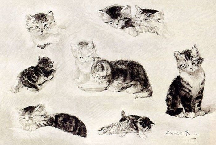 Ronner Knip Henriette A Study Of Cats Drinking Sleeping And Playing. Ronner-Knip, ���������