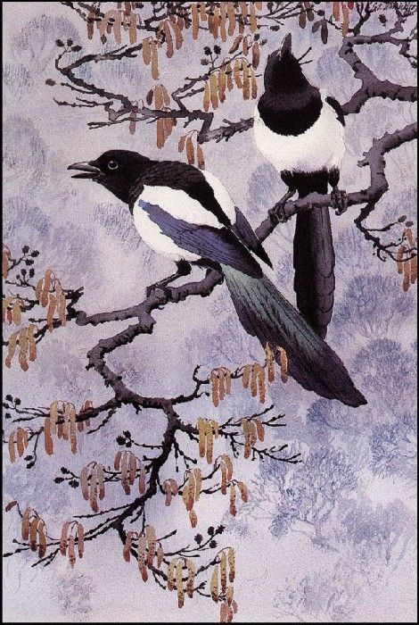 43626. Tunnicliffe, 