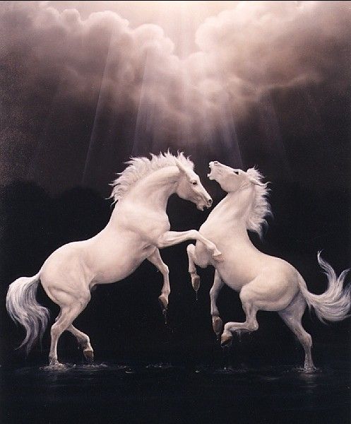 dj14. ���-�����