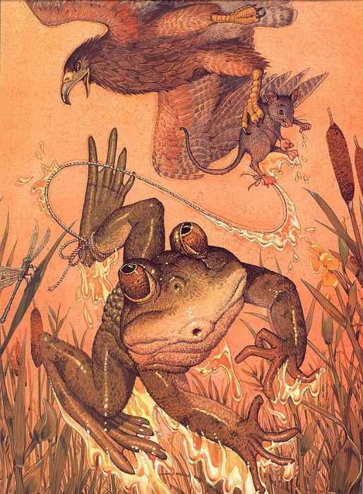 lrsDailyDonMouse&Frog. ��������� ����