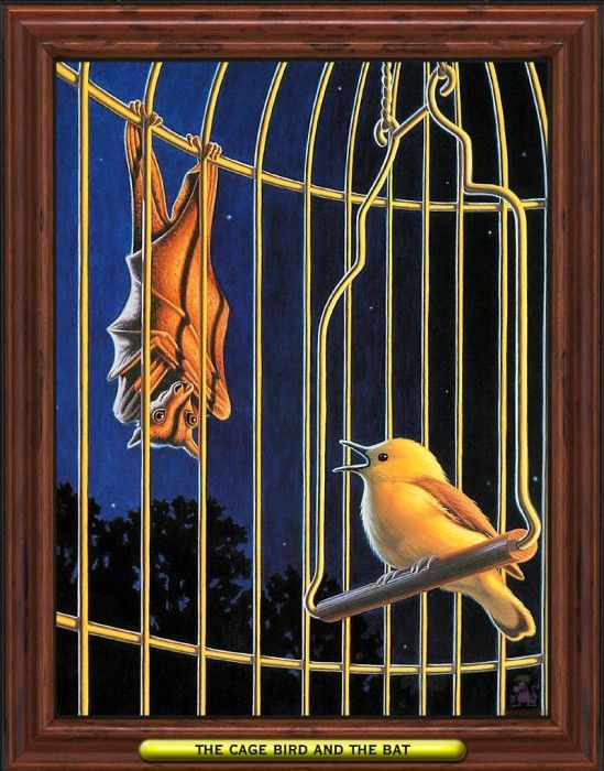 MS 30th 012 The Cage Bird and the Bat. , 