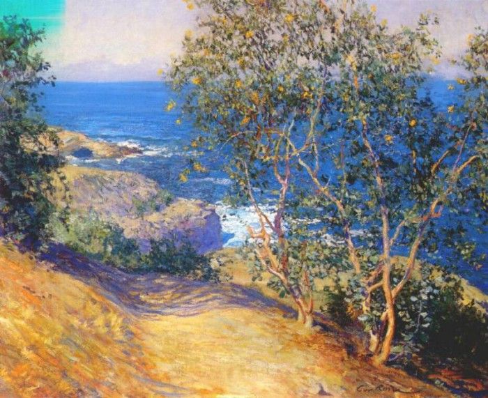 rose indian tobacco trees, la jolla. , 