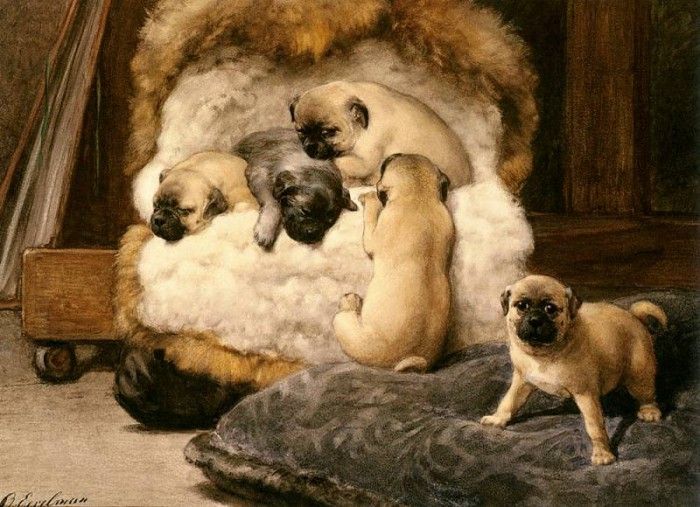 Eerelman Otto Nest Met Jonge Mastiffs. Eerelman, 