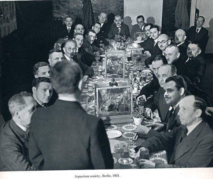 image 252. Eisenstaedt - 