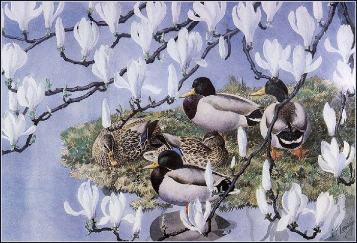 43634. Tunnicliffe, ������