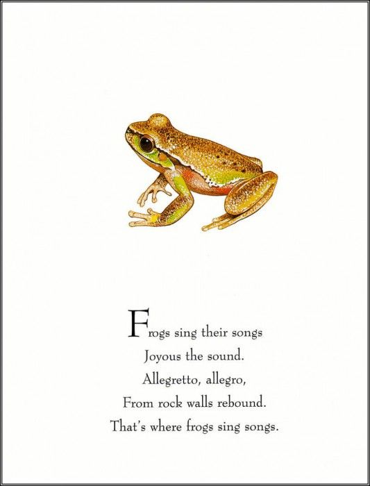 pa TonyOliver FrogsSingSongs 11a. , 