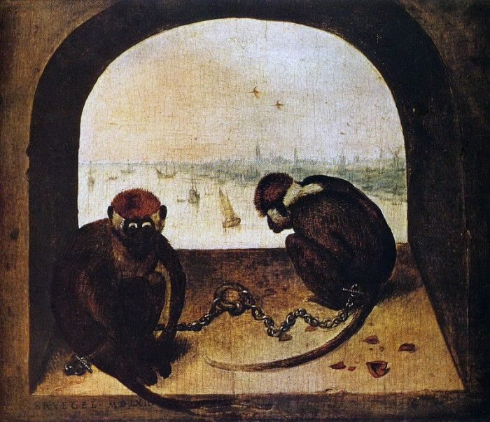   [Two monkeys] 1562. ,  