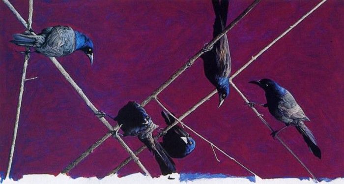 Mark Eberhard - Grackles, De. , 