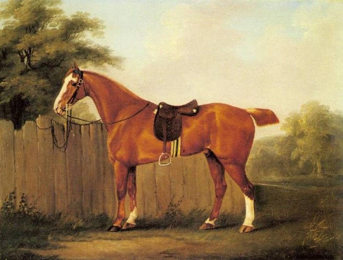 Sartorius John Nost A Chestnut Hunter Tethered To A Fence. ,  NOST