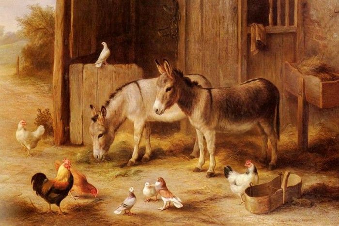 Hunt Edgar Farmyard Friends. , 