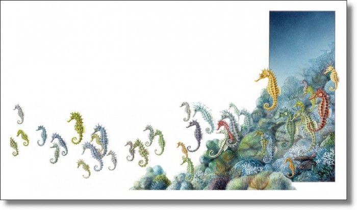 43710. ����, ����