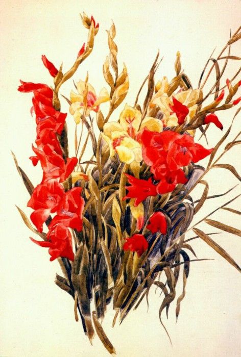 demuth red and yellow gladioli 1928. , 