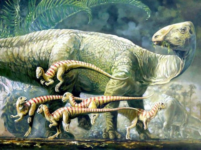 dinosaurs csg013 tenontosaurus dossi and hypsilophodont. , 