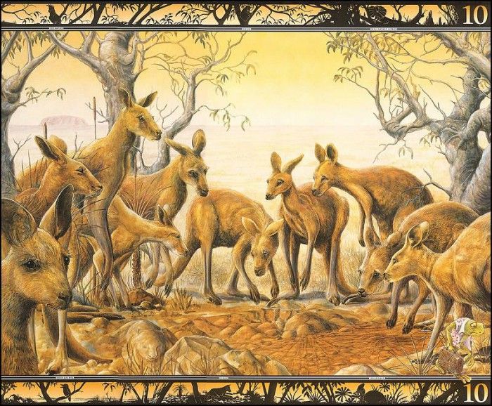 lrsBaseGraeme Waterhole10Kankaroos. , 