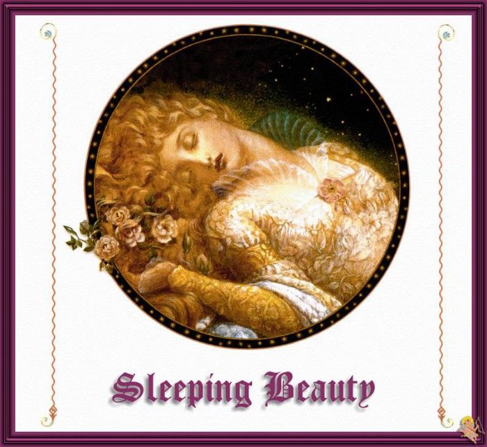 WMS Sleeping Beauty 01. , Kinuko Y