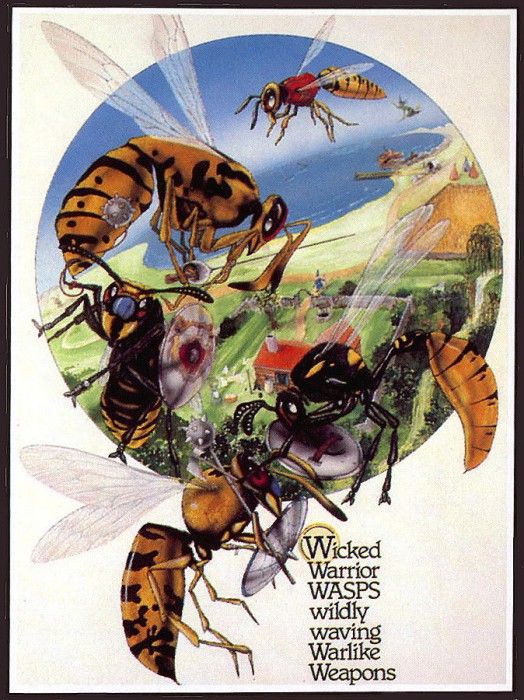 lrsBaseGraemeWickedWarriorWasps. , 