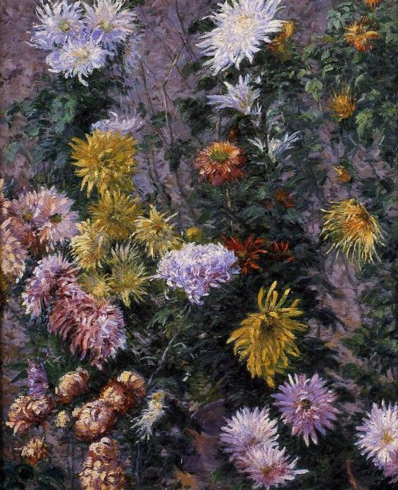 Caillebotte Gustave White and Yellow Chrysanthemums Garden at Petit Gennevilliers. , 