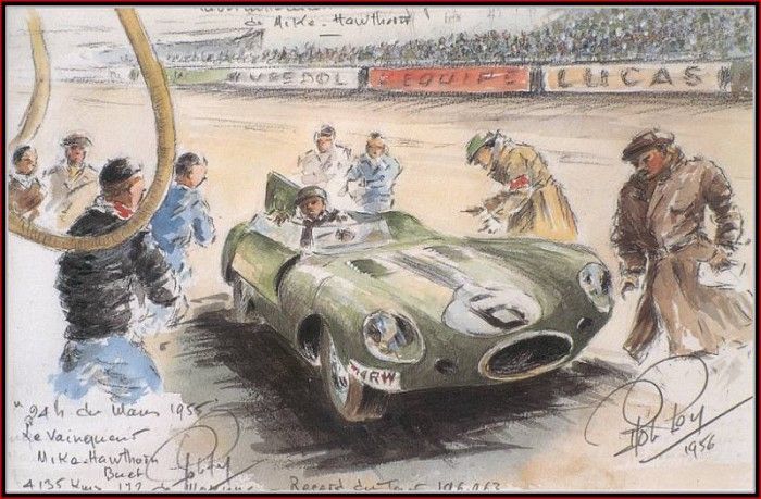 c 1955 mike hawthorn in the jaguar d.  