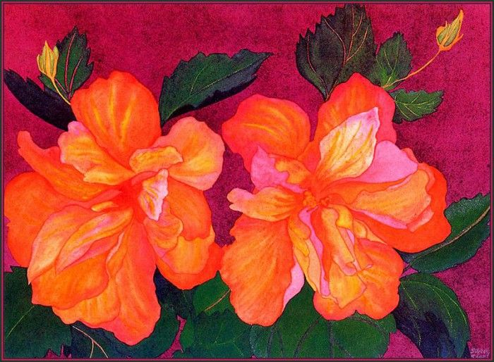 bs-flo- Sara Steele- Double Hibiscus. , 