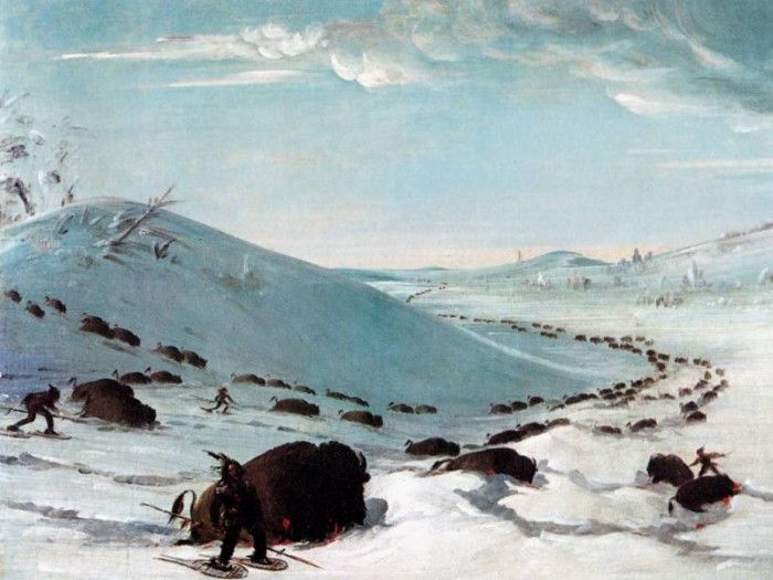 JLM-1831-37-George Catlin-Sioux Lancing Buffalo. , 