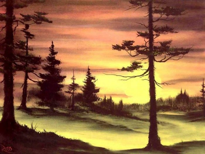 bob ross csg029 evergreens at sunset. , 