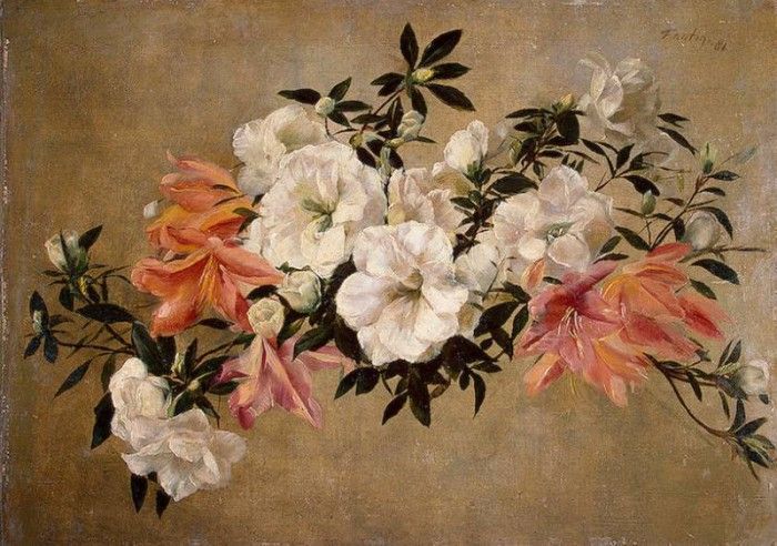 Fantin Latour Petunias. -, ---