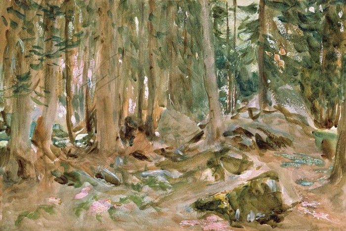 Pine Forest, Sargent - 1600x1200 - ID 8059. ,