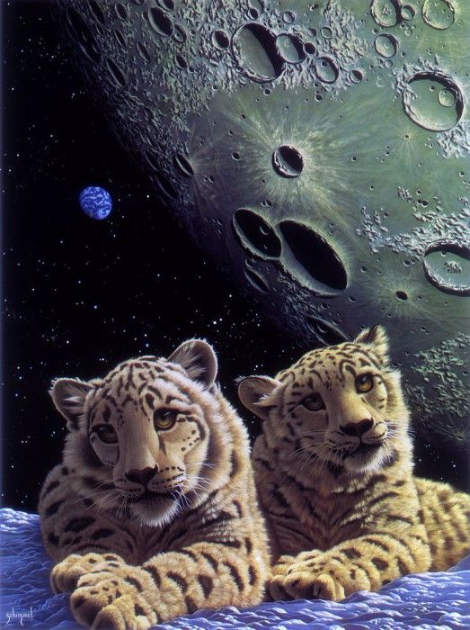 Lair of the Snow Leopard. Schimmel, ������