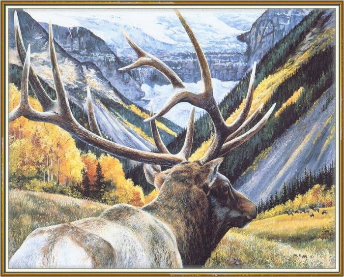 KissAndrew-A Mountain Alphabet-Aspen-WeaISC. Поцелуй, Андрей