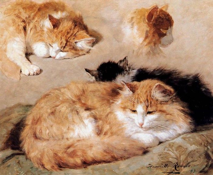 Ronner-Knip Henritte Study into a red tabby Sun . Ronner-Knip, 