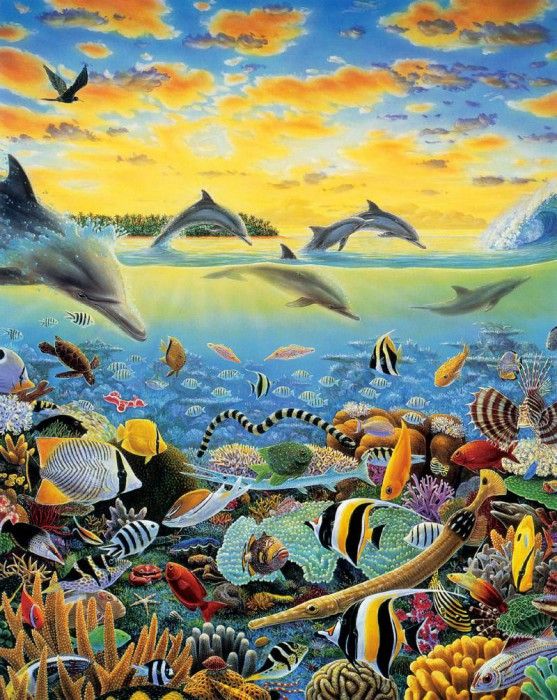 kb Bragg CL Tales of Tavarua. ,  
