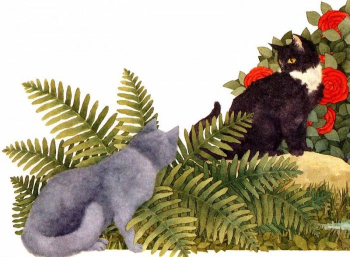 Naylor, Kathryn - Cat Park 05 (end. , 