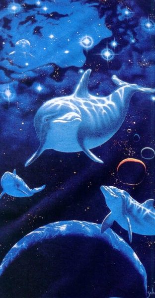 schimmel dolphinjourney. Schimmel, 