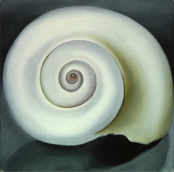 32324. OKeeeffe, ������