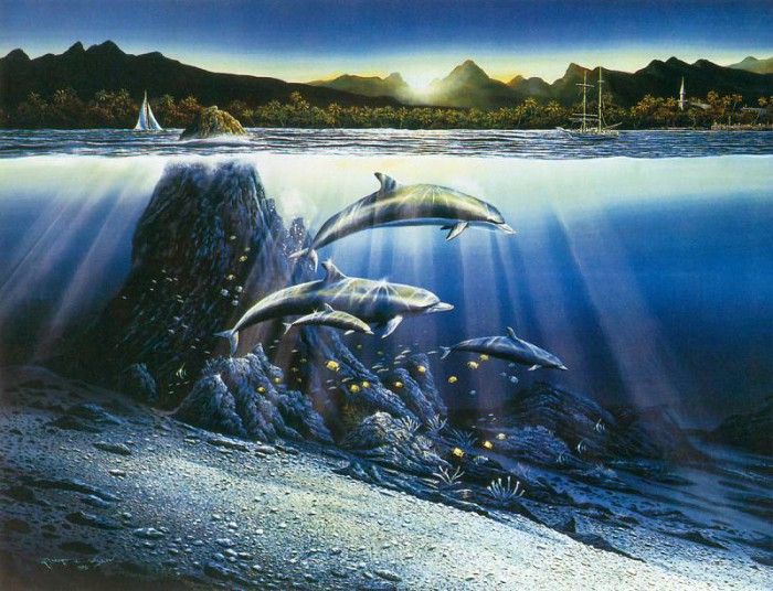 kb Nelson RL Kona Dawn. �������, ������ ���