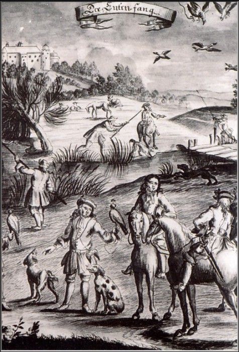 PO hidtc 80. Bluchel, ���� G