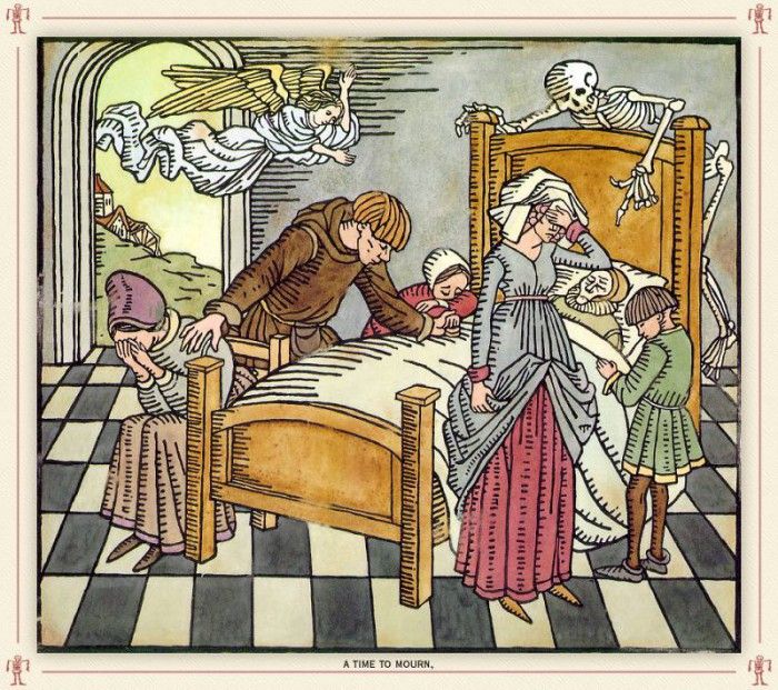 Dillon Season12 sj. ������, �����