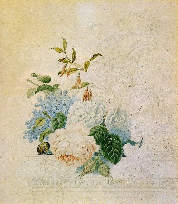 Knip Henrietta Study of a flower still life Sun. Knip, ���������