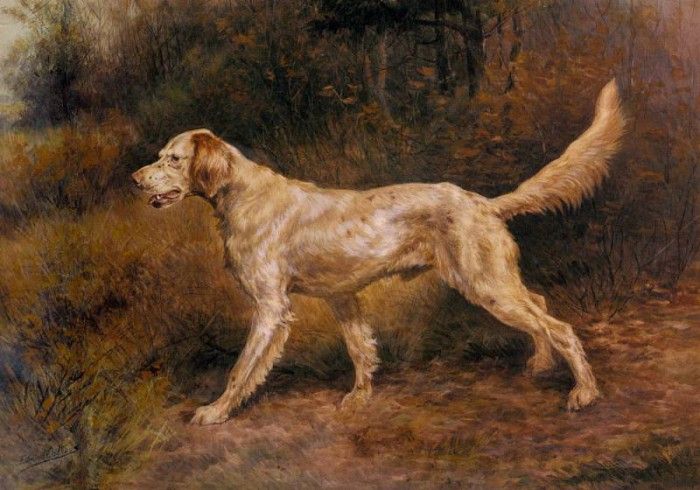 Osthaus Edmund Henry Commissioner A Champion English Setter. Osthaus,  