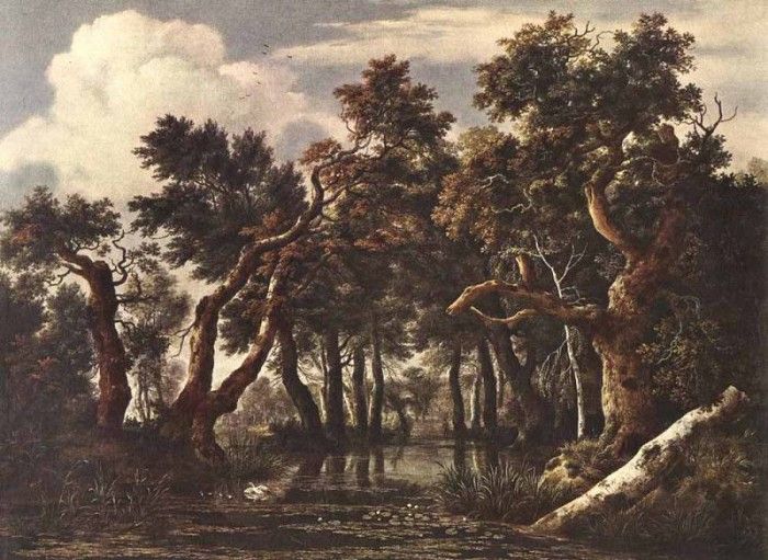 RUISDAEL Jacob Isaackszon van The Marsh In A Forest. ,  