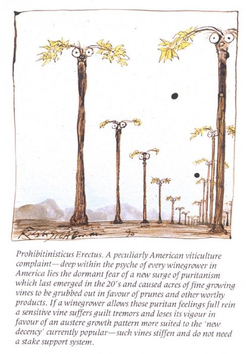 bs GOR 91 Prohibitinisticus Erectus. , 