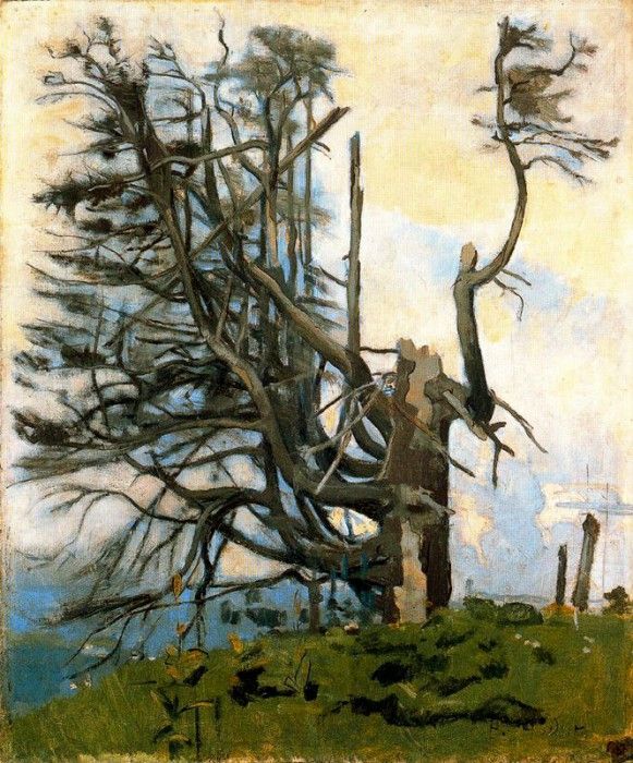 37514. ������, ���������