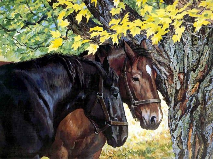 horses in the mist csg009 the shade tree. ,  
