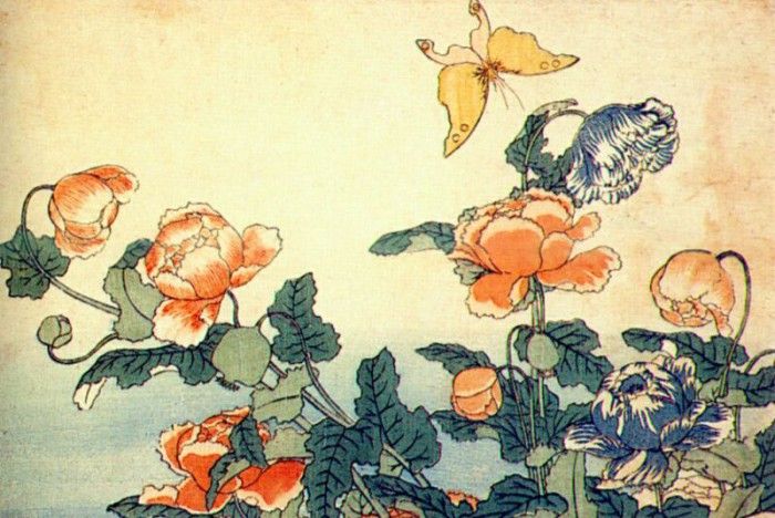 hokusai poppies and yellow butterfly 1833-4. 