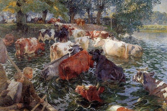 Claus Emile Cows crossing the Leie Sun . , 