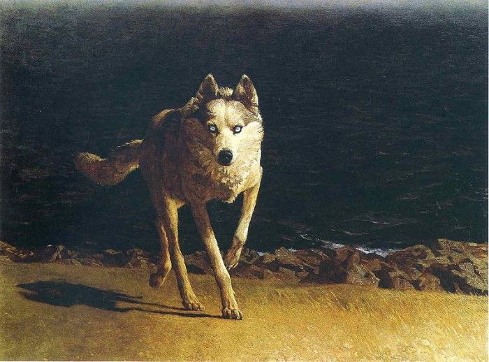 File8999. Wyeth, 