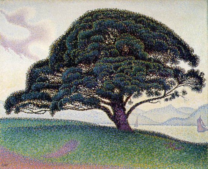 Signac Le pin de Bonaventura a Saint-Tropez, 1892, Museum of. , 