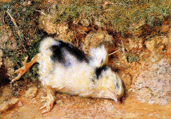 Hunt William Holman John Ruskin-s dead chick. ,  